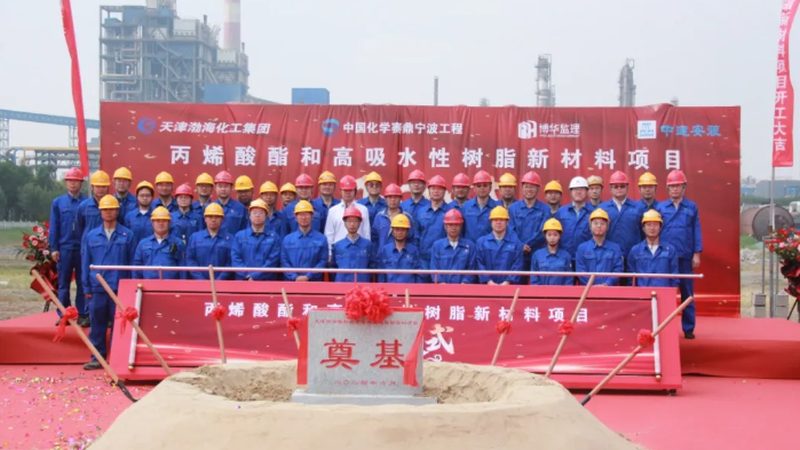 工业添加剂定制的利与弊：深度解析
