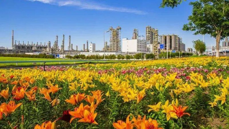 上海化工产品代理加盟，如何选择合适的合作伙伴？**